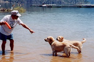 [photo of dog]