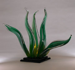 Century Plant